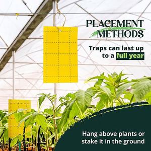 Trappola Adesiva Gialla Bifacciale per Insetti Volanti Piccoli, Efficace Controllo dei Parassiti per Frutteti e Orti - Product Image 5
