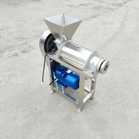 Machine à jus de fruits et légumes industrielle et commerciale, extracteur de jus de citron, gingembre, agrumes et orange en acier inoxydable