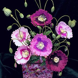 แม่พิมพ์ซิลิโคนลายดอกไม้สำหรับตกแต่งเค้กที่ทันสมัยเป็นมิตรกับสิ่งแวดล้อมแม่พิมพ์ดินเหนียวดินเหนียวทำให้กลีบดอกป๊อปปี้ใบเมล็ด - Product Image 5