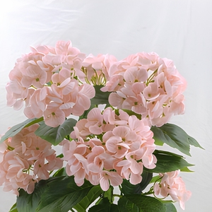 <span class=keywords><strong>Hortensias</strong></span> Artificiales de Alta Calidad, Tacto Real, Cabeza Grande, Color Rosa, para Bodas, Graduaciones, Año Nuevo, Ecológicas - Product Image 4
