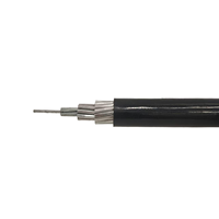 Cable Aislado Aéreo ACSR JKLGYJ 0.6/1kV 185/25 XLPE Resistente a Rayos UV IP54 Retardante de Llama Clase C para Redes Rurales de Bajo Voltaje