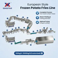 Ligne complète économique de production de frites surgelées 3000 kg/h pour usines de transformation de pommes de terre moyennes et grandes, fonctionnement stable