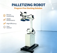 Robot Palettiseur Collaboratif à Fonctionnement Stable, Haute Productivité pour l'Automatisation des Lignes d'Emballage
