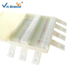 Portaobjetos de Microscopio Preparados para la Enseñanza de la Educación Biológica, Especímenes Animales y Humanos, 50 Piezas, Juego de Portaobjetos de Histología Humana para Microscopio - Product Image 2