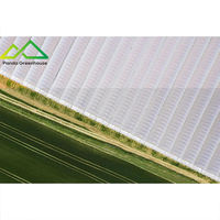 Grote enkellaagse plastic folie multispan kas met geautomatiseerde systemen voor commerciële groente- en bessenteelt