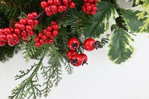 Factory Customized Pvc <b>Front</b> <b>Door</b> Wall <b>Decor</b> Berries Cones Pine Needles Wreath - Product Image 6
