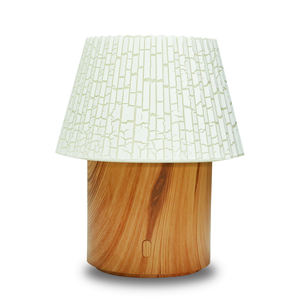 Lampe de bureau modèle Bai Zhe avec diffuseur : Conception à lumière chaude, dotée d'une fonction veilleuse - Product Image 1