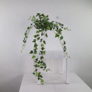 Vigne suspendue en lierre miniature multicolore <span class=keywords><strong>de</strong></span> 110 cm <span class=keywords><strong>de</strong></span> long, <span class=keywords><strong>brin</strong></span> décoratif avec des feuilles colorées pour une décoration murale délicate - Product Image 6