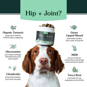 Odm oem oem לחיות מחמד תוספי מזון מפרק הירך להתאמה אישית לועסים גלוקוזאמין msm עבור כלבים כלבים טבליות לעיסה/קפסולות מנוסה - Product Image 2