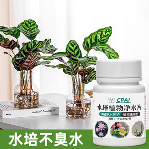 Comprimés de purification d'eau pour plantes hydroponiques Cpai, bouteille de 110g+10g pour le jardinage en serre intérieure - Product Image 1