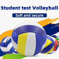 Volley-ball en PVC moins cher adapté au divertissement et à la promotion, divers jouets de styles La balle de volley-ball gonflable peut être douanière