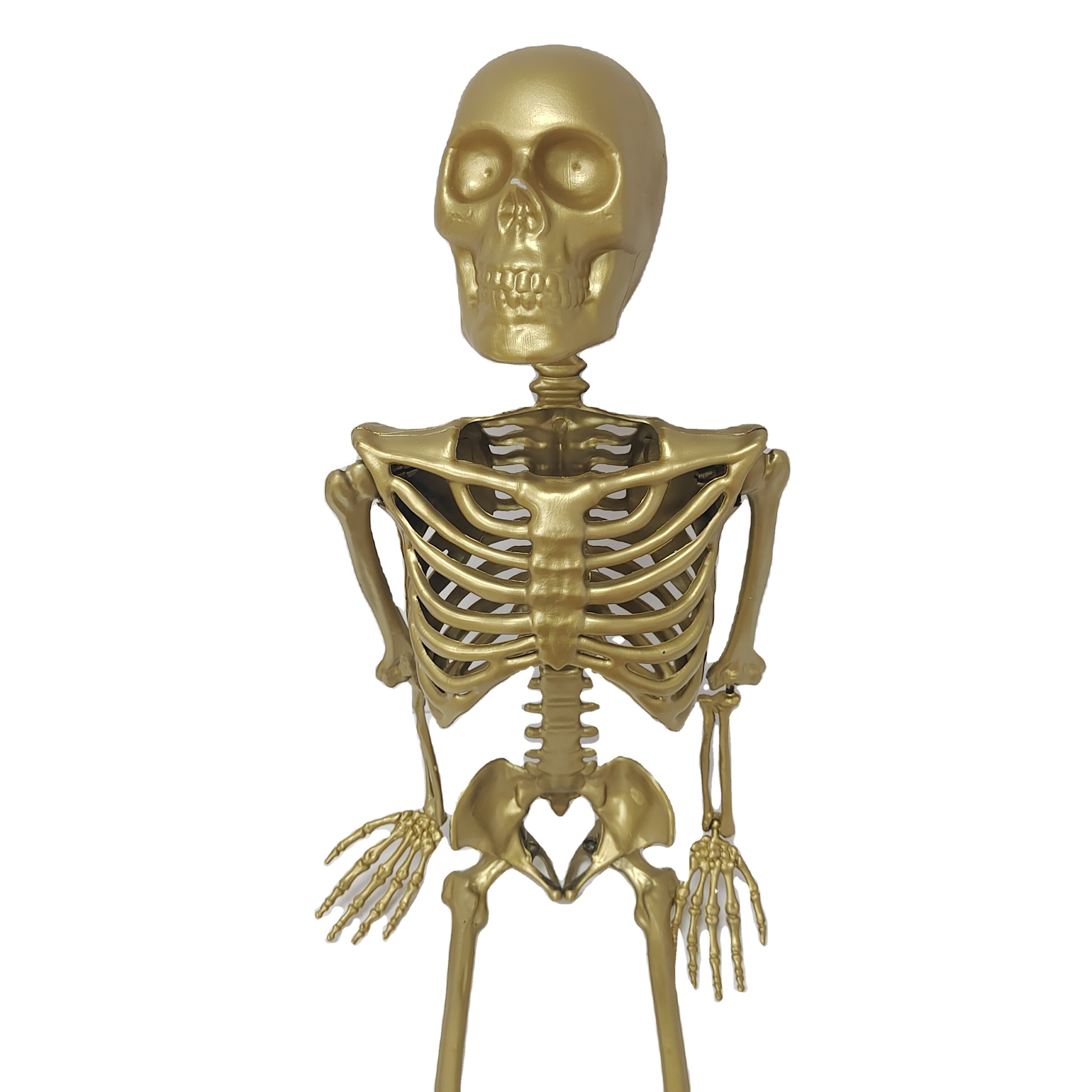 Modelos de Ciencia de plástico baratos, esqueleto humano de 91,5 cm de altura para enseñar manualidades decorativas de Halloween