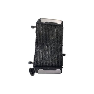 Radiatore e Ventola di Raffreddamento Motore per Suzuki SV650 1999, Raffreddatore in Alluminio Usato - Product Image 1