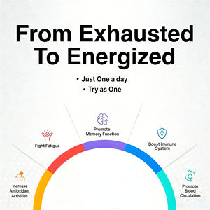 OEM ODM Marca Privada Cápsulas de Raiz de <span class=keywords><strong>Ginseng</strong></span> Suplemento para Aumento de Apetite e Ganho de Peso Saúde Intestinal Cápsulas de <span class=keywords><strong>Ginseng</strong></span> Certificadas GMP - Product Image 3