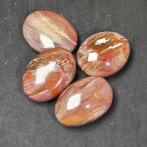 Cristal natural fosilizado madera roja petrificada madera fósil piedra Palma