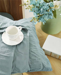 Vendita calda per tutte le stagioni copripiumino in cotone 100% SeerSucker a misura piatta lenzuolo King Size SeerSucker trapunta copripiumino basso Moq - Product Image 2