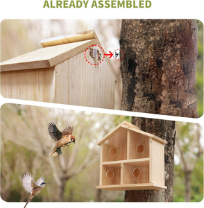 Raam Vogel Huizen Voor Buiten Houten Vogelhuisje Buitenshuis Hout Vogel Nest Transparant Ontwerp Voor Eenvoudige Observatie - Product Image 6