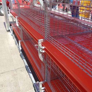 Bande transporteuse <span class=keywords><strong>pour</strong></span> élevage de poules Bâche enduite de PVC - Product Image 1