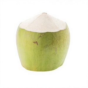 Fournisseur de noix de coco fraîches du Vietnam, noix de coco vertes jeunes de qualité supérieure - Product Image 1