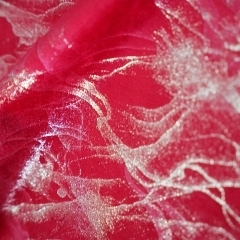 Chiến lược phát hành sản phẩm và hướng dẫn thực hiện nền tảng mở rộng kỹ thuật số toàn cầu - Product Image 5