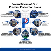 Línea de Coextrusión de Doble Capa de Precisión Pinyang para Cableado de Construcción con Revestimiento de Nylon THHN, Maquinaria Extrusora de Cable de PVC