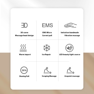 Appareil de massage facial ABS en promotion, nouveau modèle breveté avec compresse chaude et froide et micro-courant vibrant, appareil de beauté - Product Image 5