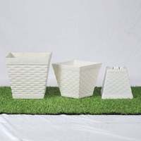 Pot de fleurs en plastique MLV de couleur unie, design classique, idéal pour les succulentes et les cactus, vente en gros