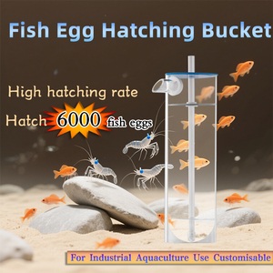 Incubadora de Huevos de Pescado QihangRAS de 160 mm de Diámetro, Equipo para Incubación de Huevos de Carpa, Bagre y <span class=keywords><strong>Tilapia</strong></span>, Frasco de Incubación para Piscicultura - Product Image 2