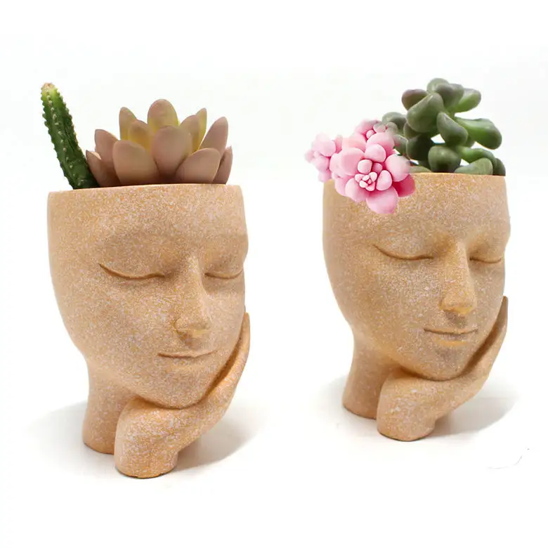 Wy Gezicht Bloempot Kop Planter Pot Sappige Planter Moderne Hars Decoratief Voor Cactus Planter Binnen Of Buiten