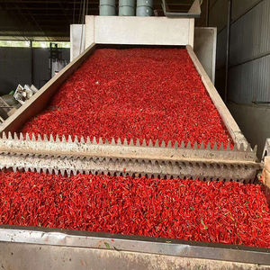 Chiles Rojos Secos de la Marca Premium DYTD, Ligeramente Picantes, Envasados al Vacío, Caja con 2 Años de Duración, Especias Culinarias Aromáticas, Semillas Huecas - Product Image 2