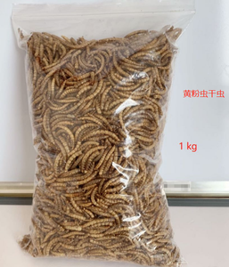 Grade vers animaux vers de farine secs <span class=keywords><strong>nourriture</strong></span> pour oiseaux sous forme de poudre pour poisson, chien, cochon, bétail, cheval, animal de compagnie. - Product Image 6