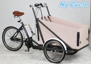 <span class=keywords><strong>Bici</strong></span> da carico <span class=keywords><strong>elettrica</strong></span> per adulti con batteria agli ioni di litio 36v 9Ah 250W motore centrale porta posteriore scatola di legno per la consegna - Product Image 3