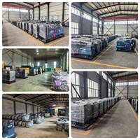 Generador Diésel Silencioso con Motor Chino Ricardo de 20kw, 30kw, 40kva, 50kw, 60KVA, 80kw, 100KVA, 150KVA, 200KVA, 300KVA, Suministro Global