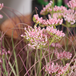 <span class=keywords><strong>Plante</strong></span> artificielle en plastique Gypsophila en pot pour décoration extérieure et intérieure, maison, bureau, jardin, plantes artificielles, faux roseau - Product Image 3