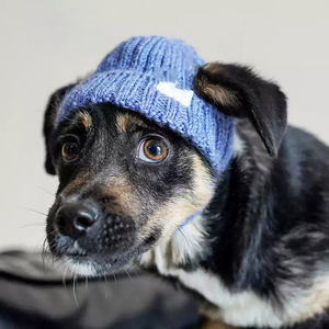 <span class=keywords><strong>Gorro</strong></span> de ganchillo hecho <span class=keywords><strong>a</strong></span> mano con dibujos animados <span class=keywords><strong>para</strong></span> mascotas, <span class=keywords><strong>gorro</strong></span> de animales <span class=keywords><strong>para</strong></span> <span class=keywords><strong>perros</strong></span> y gatos, accesorio <span class=keywords><strong>para</strong></span> fotos y uso diario, nuevo al por mayor - Product Image 3