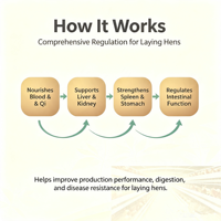 EggSure Additif Alimentaire Herbal pour Volailles Améliore la Digestion et l'Absorption Réduit les Coûts d'Alimentation Améliore la Santé Globale de la Plume d'Élevage