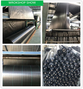 PP Black Woven Polypropylene Weed Control Fabric <b>Mat</b> with UV Protection for Greenhouse Use in <b>Roll</b> - Product Image 6