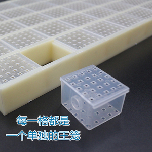 Multifunction Queen Rearing Cupkit System Cultivating Cage Bee Beekeeping Catcher Box Tool Kit