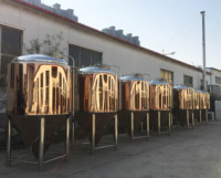 Équipement de brassage de bière en cuivre rouge de 1000 L, micro-brasserie à vendre