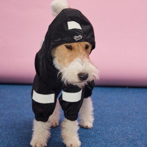 Chaqueta Impermeable de Alta Visibilidad para Perros de Raza Grande (Greyhound) con Cuello Alto y Cierre de Cremallera, de Poliéster/Nylon, para Días de <span class=keywords><strong>Nieve</strong></span> - Product Image 3
