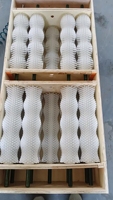 Brosse à rouleaux en nylon de taille personnalisée pour machine à nettoyer les œufs