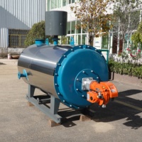 Chaudière à eau chaude industrielle horizontale à haute efficacité, à tubes, fonctionnant au gaz ou au mazout, automatique