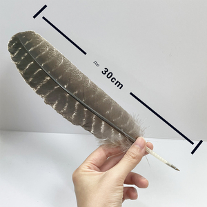 Stylo <span class=keywords><strong>plume</strong></span> de trempage classique à l'ancienne, pour calligraphie européenne, <span class=keywords><strong>plume</strong></span> de dinde grise - Product Image 2