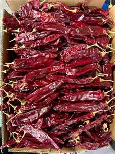 Withstem và <span class=keywords><strong>stemless</strong></span> đỏ khô Paprika Ớt - Product Image 3