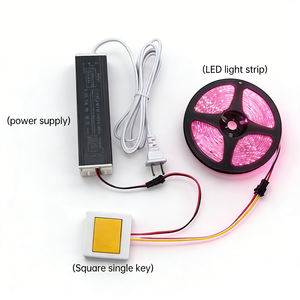 OEM ODM DC 5A 12V 60W Interrupteur tactile unique à trois couleurs avec fonction de gradation pour miroir de salle de bain, interrupteur à détection - Product Image 5