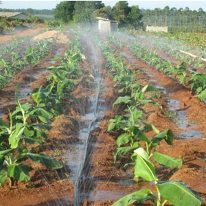 Farmland-<span class=keywords><strong>manguera</strong></span> <span class=keywords><strong>de</strong></span> <span class=keywords><strong>riego</strong></span> personalizada, rociador <span class=keywords><strong>de</strong></span> lluvia, 5 <span class=keywords><strong>agujeros</strong></span> - Product Image 1