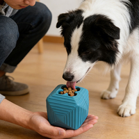 Ballon en caoutchouc écologique pour chiens, distributeur de nourriture, personnalisable, durable, à mâcher, pour le nettoyage dentaire, MOQ 1000