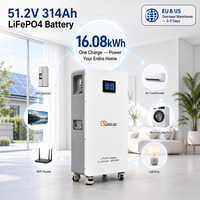 Baterai Penyimpanan Tenaga Surya Off Grid 16kWh 51.2V 314Ah, Pemantauan Cloud WiFi, BMS Pintar, 6000+ Siklus, Baterai Rumah Mobil, Gudang EU