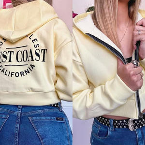 Sudadera personalizada 100% algodón con cremallera alta calidad oversize unisex sudadera estilo hip hop para el invierno - Product Image 2