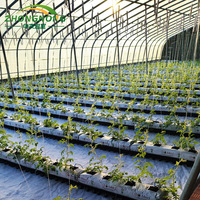 Kit de serre agricole multi-chapelles grand format avec structure en acier galvanisé à chaud, couverture en film/verre/PC, conception préfabriquée, hydroponique
